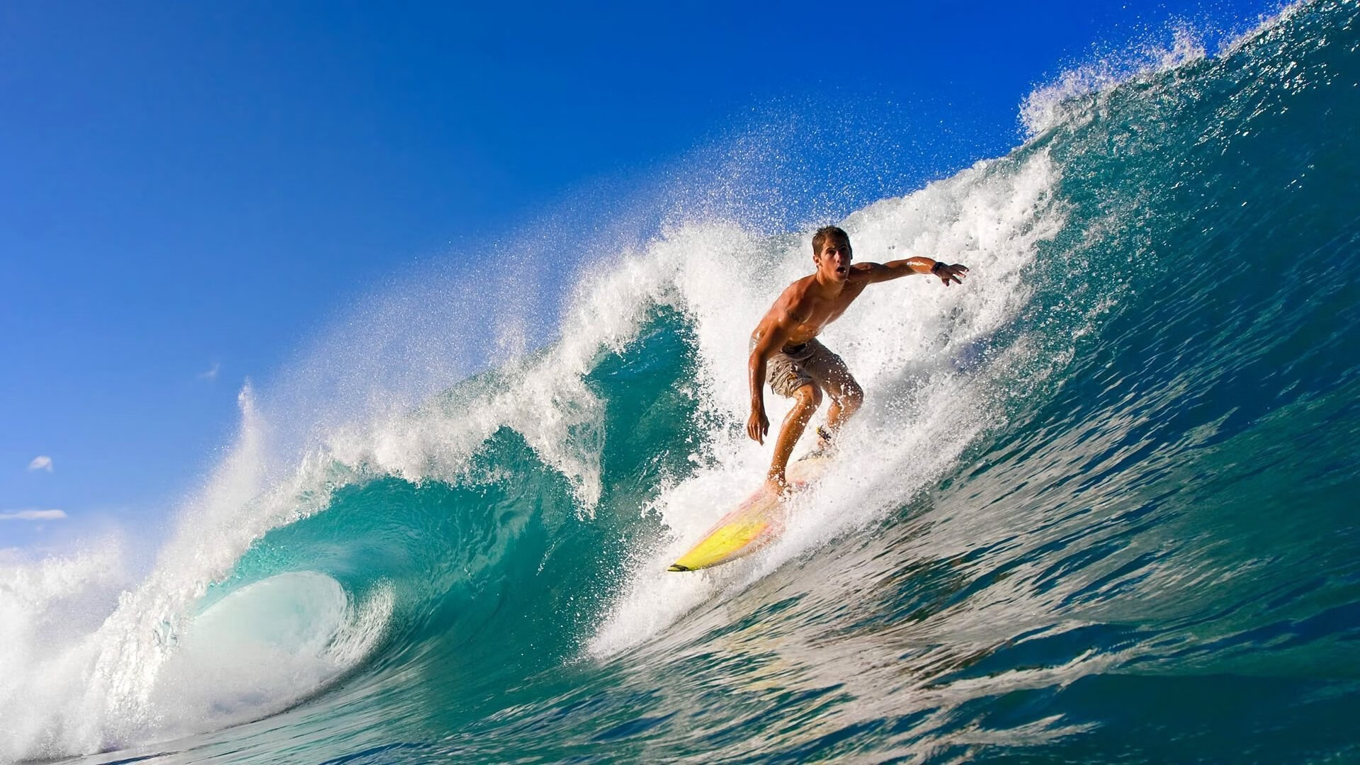 开云体育中国-老鹰啄穿绿军神话，克莱绝境重生诠释压力真谛