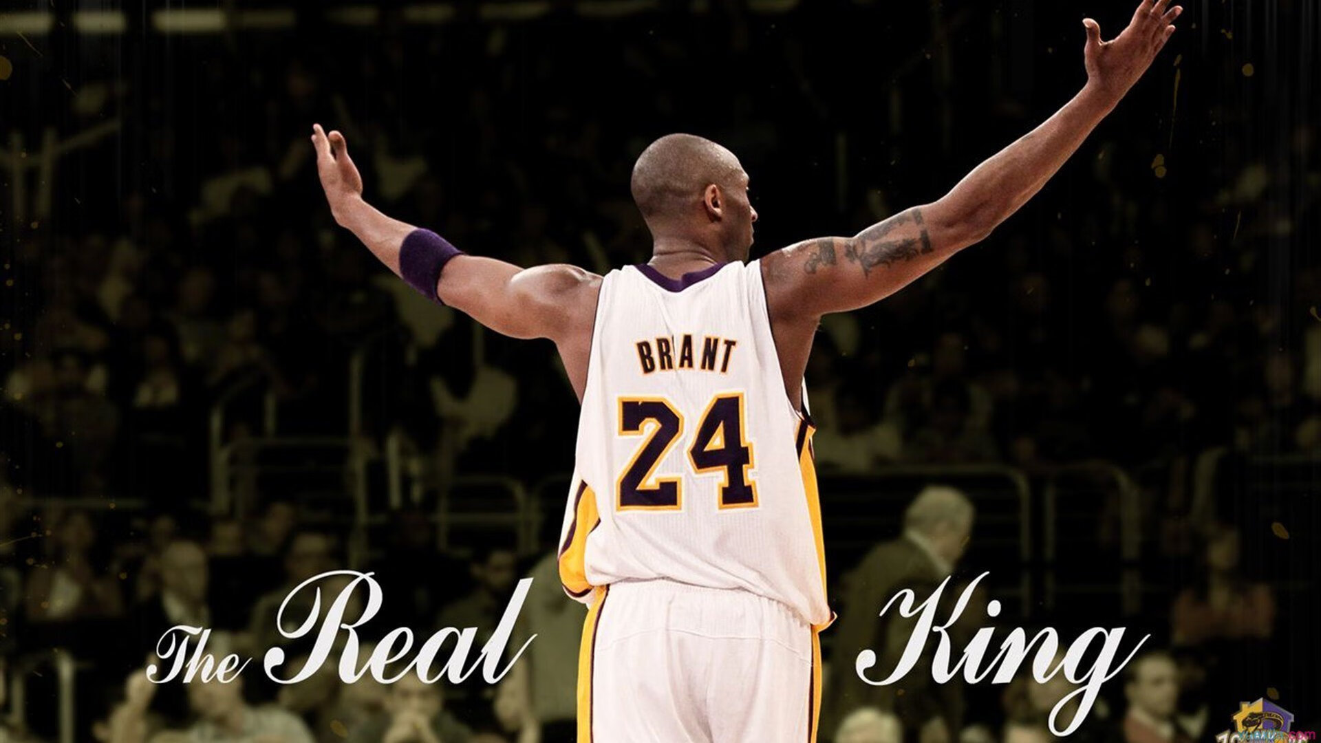 武切维奇扛起全队！篮网硬仗取胜深圳队，展现冠军级韧性